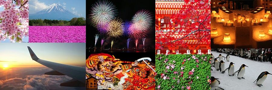 tara_camera's profile banner image