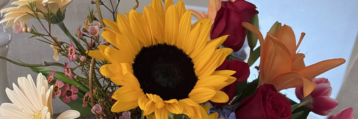 mapsco1's profile banner image