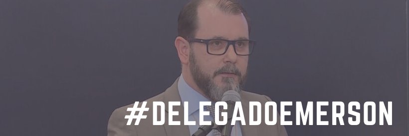 Delegado Emerson Wendt banner