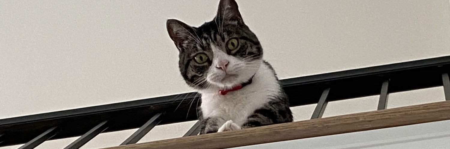 MrLeeGarner's profile banner image