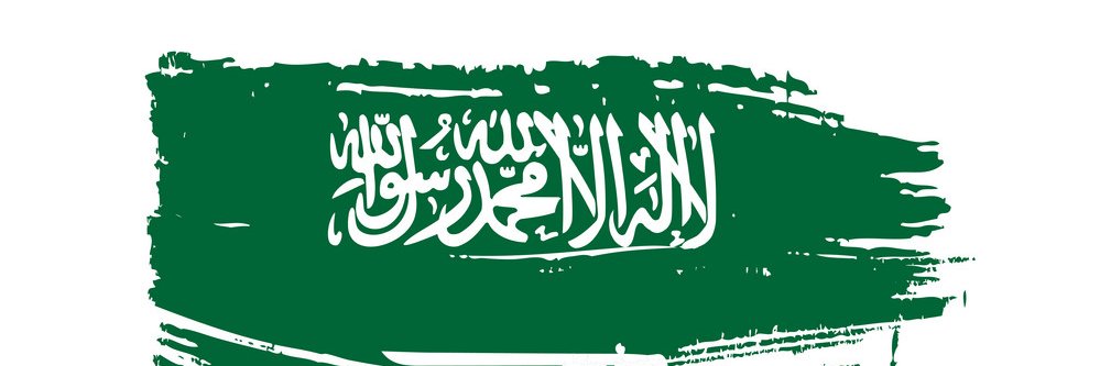 ALI BIN SALEH banner