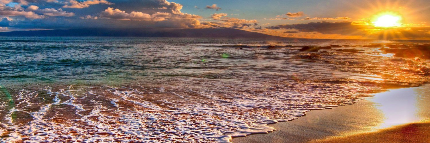 Gabrielamoolina's profile banner image