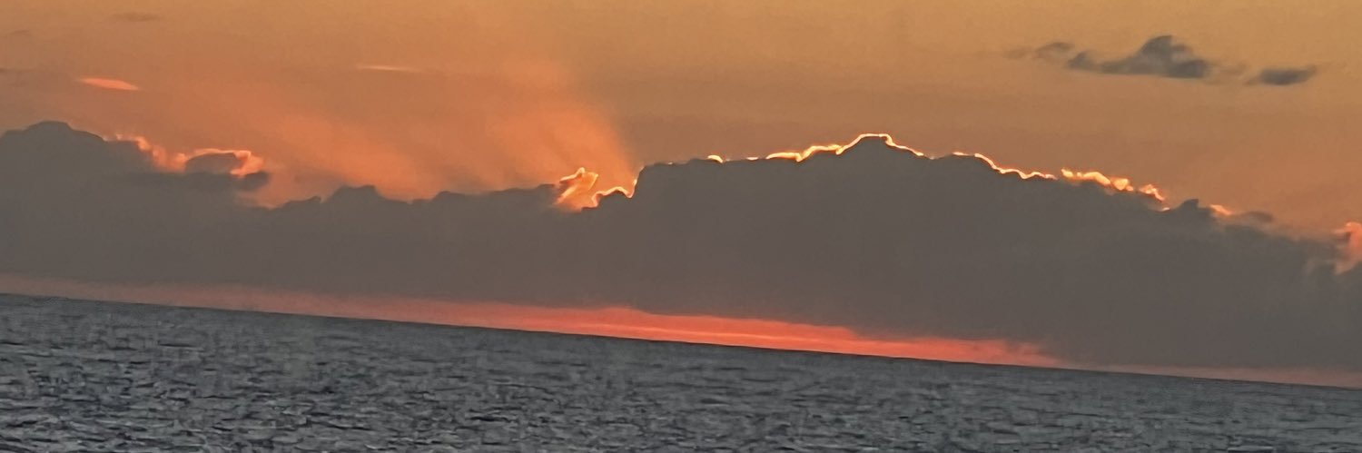 LoveRayLynn's profile banner image