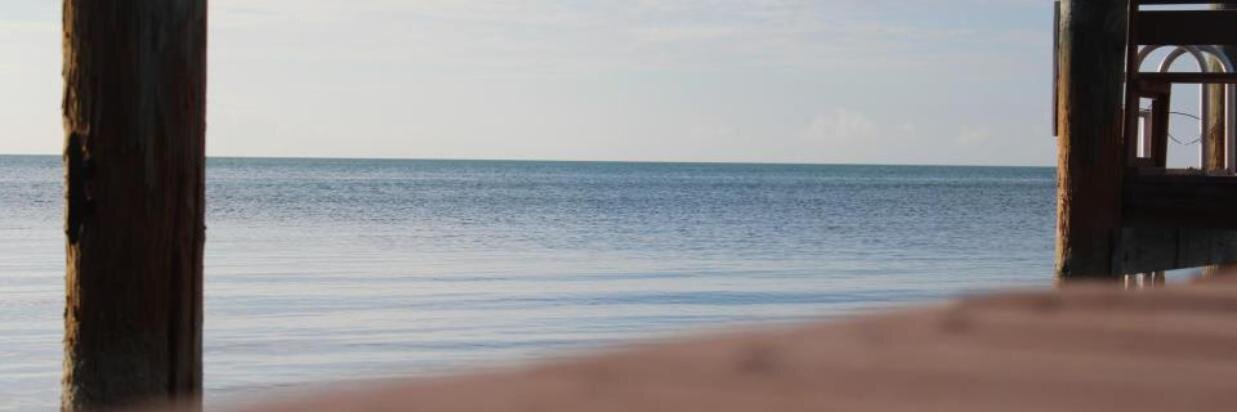 AlbertoLougedo's profile banner image