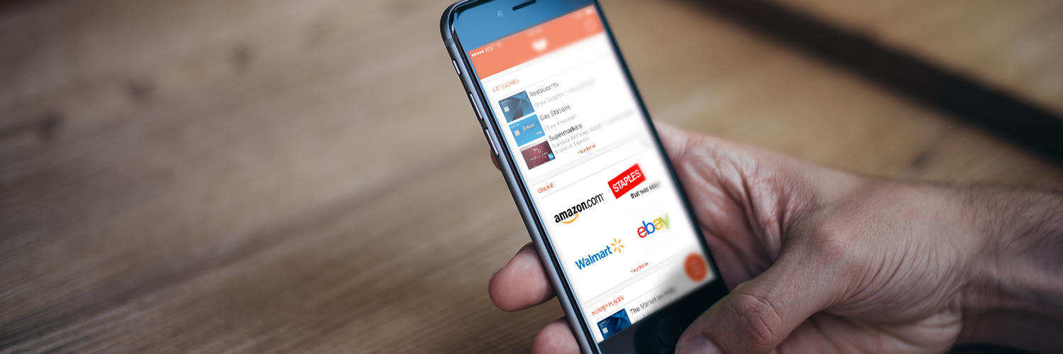 Wallaby Financial banner