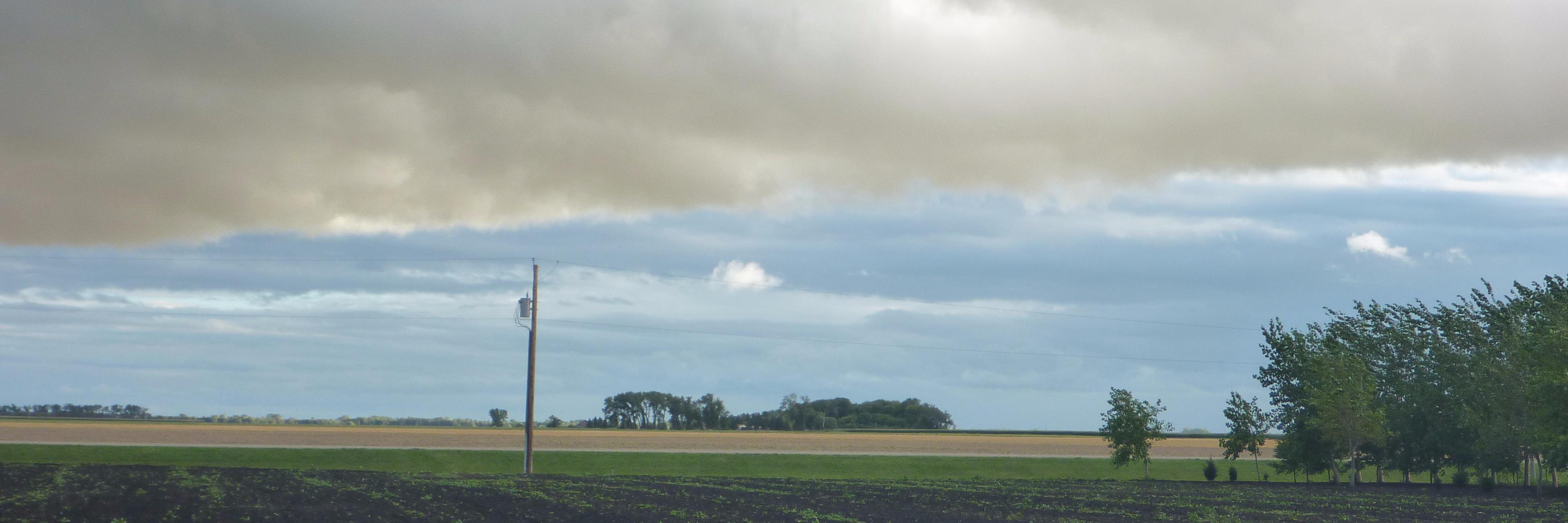 David Driedger banner