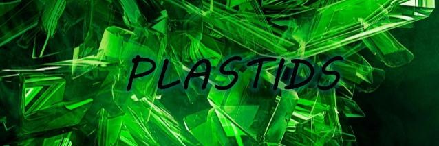 plastids4chief's profile banner image