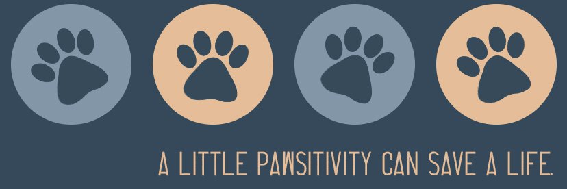 Dogtrainer1982's profile banner image