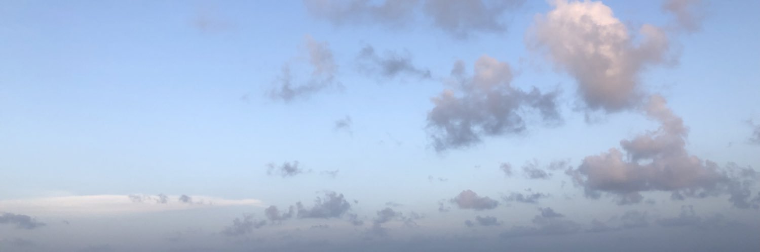 alexisperi_'s profile banner image