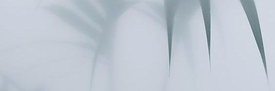 nxnmarquez's profile banner image