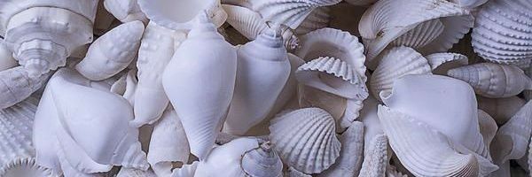 PupilaR's profile banner image