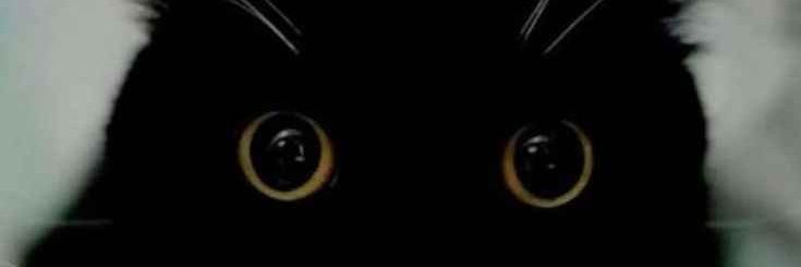 Qlowdi8's profile banner image