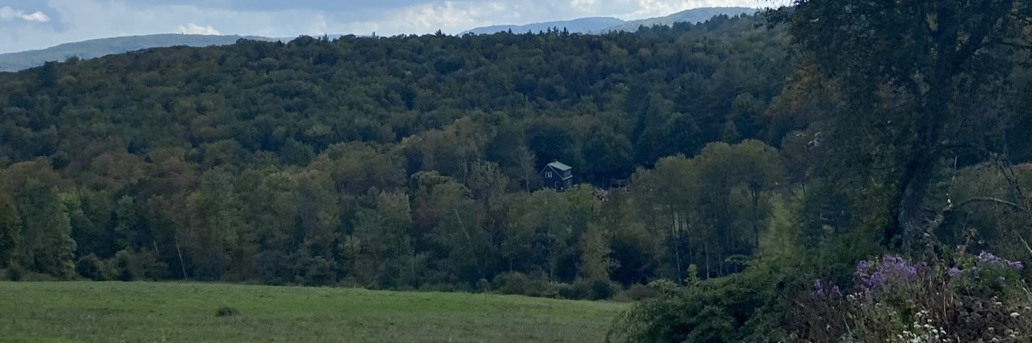 DEFUND VICTORIA NULAND 🚨 banner