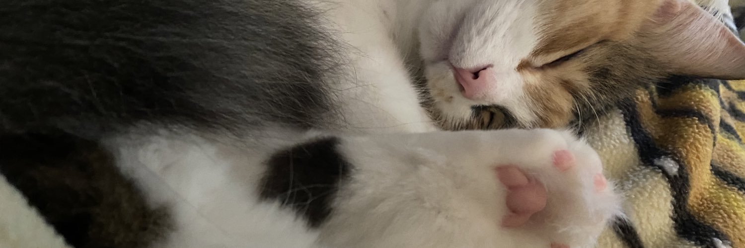 StacieBre's profile banner image