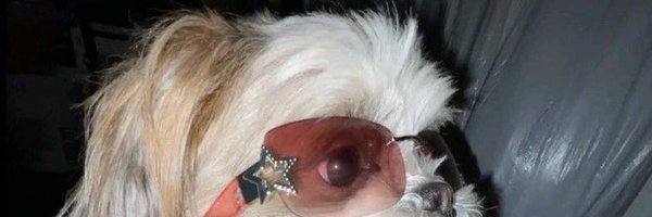 chihirohoney Profile Banner