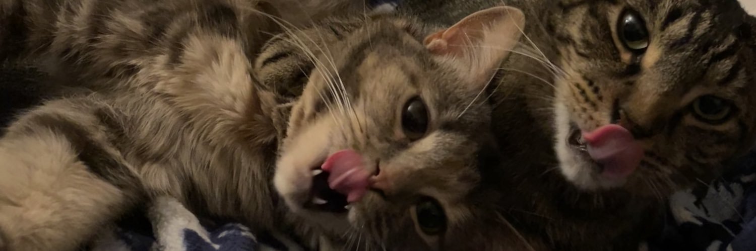 littlechrob's profile banner image