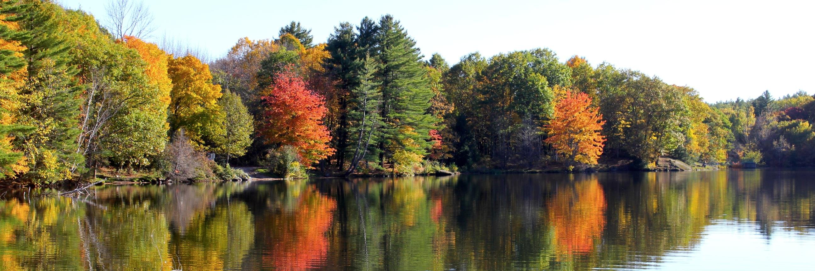 Andrea Suozzo banner