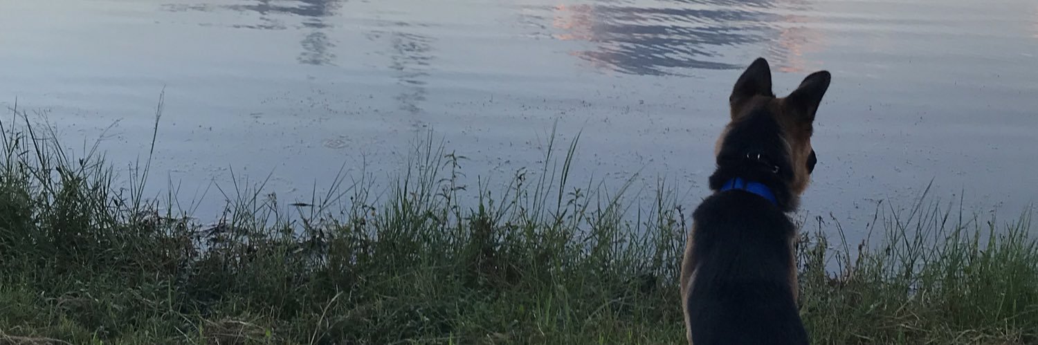 ImTheRealJuJu's profile banner image
