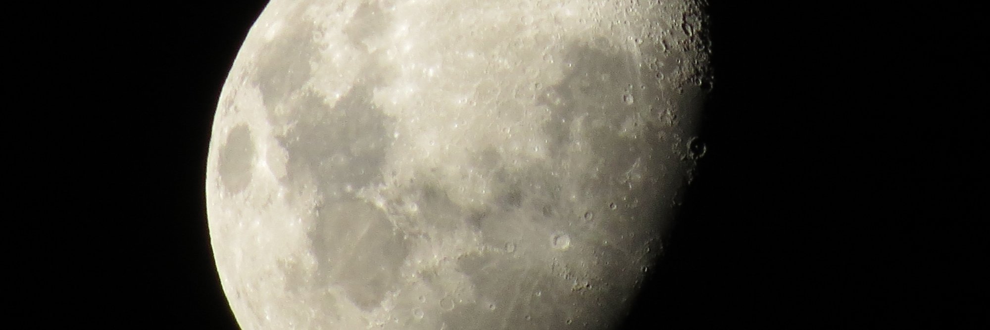 piacortes's profile banner image