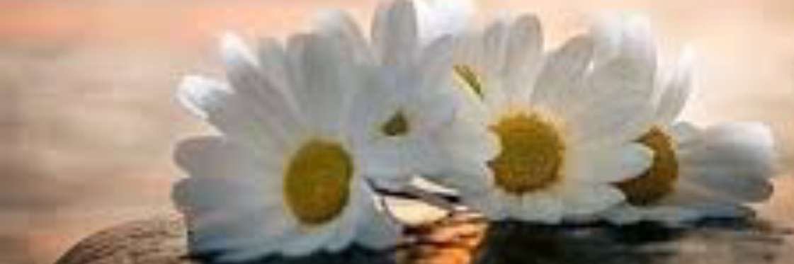 dalall_ms's profile banner image