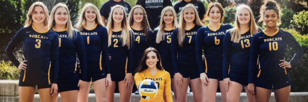 Aberdeen Volleyball banner