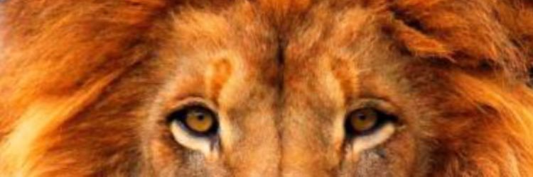 NoNameGray's profile banner image