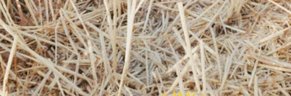 ae_ae05's profile banner image