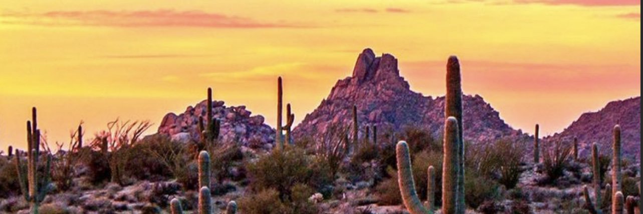 KaleyyBrooke12's profile banner image