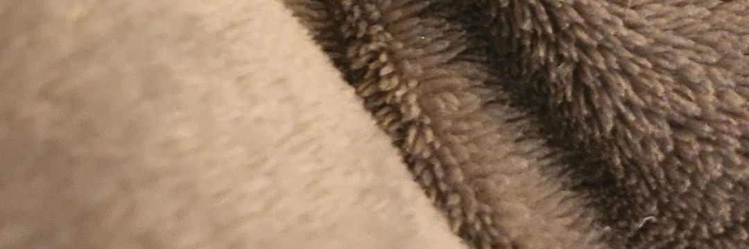 RoxanneHammer's profile banner image