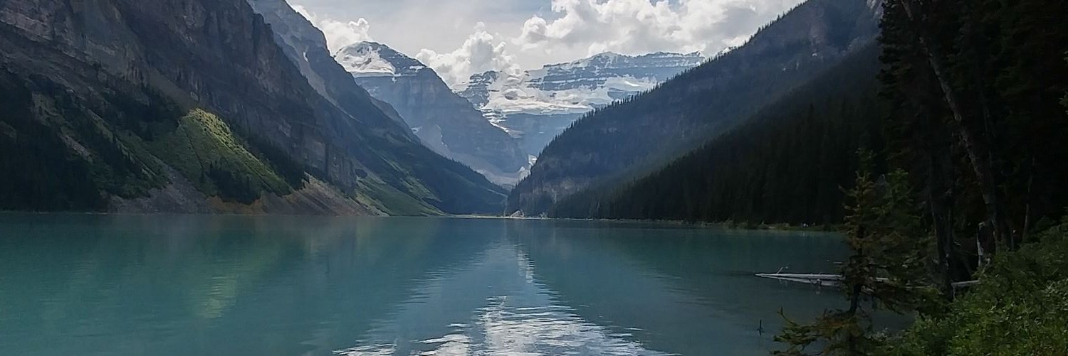 CathMPaulin's profile banner image