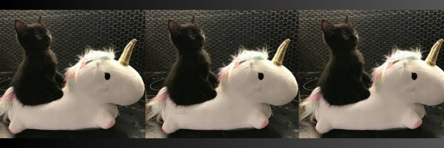 AngieHPizza's profile banner image