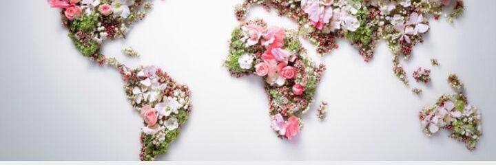 ababisi's profile banner image