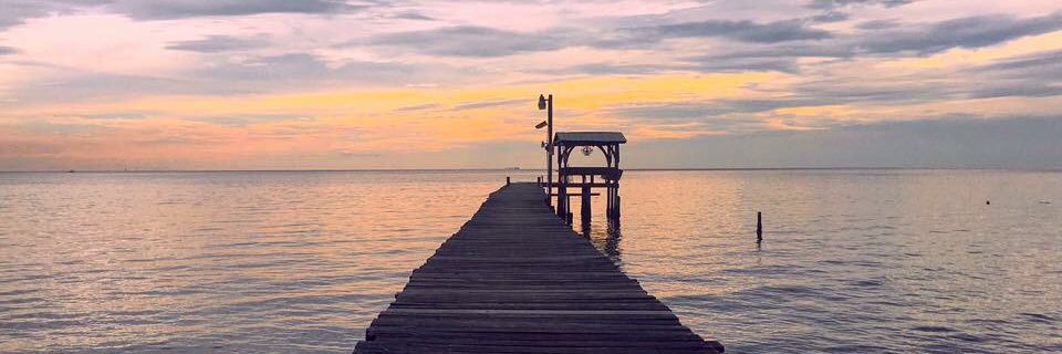 OneBlueBlonde's profile banner image