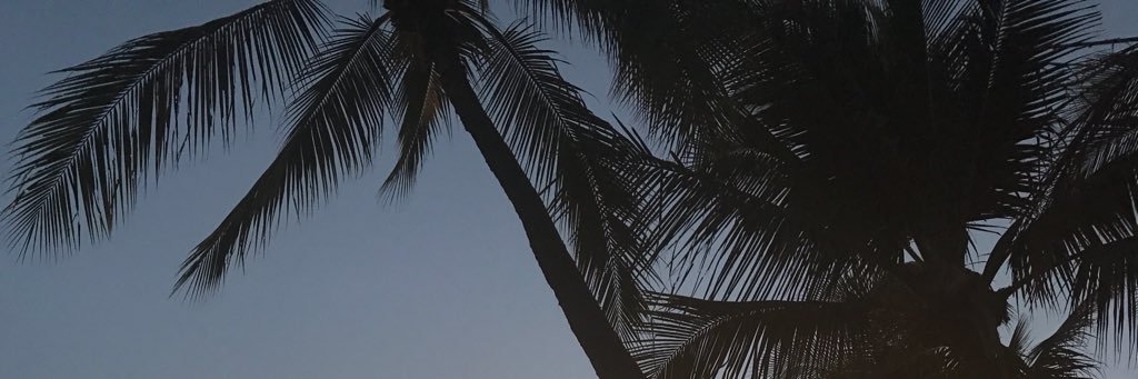 ProfDiehn's profile banner image