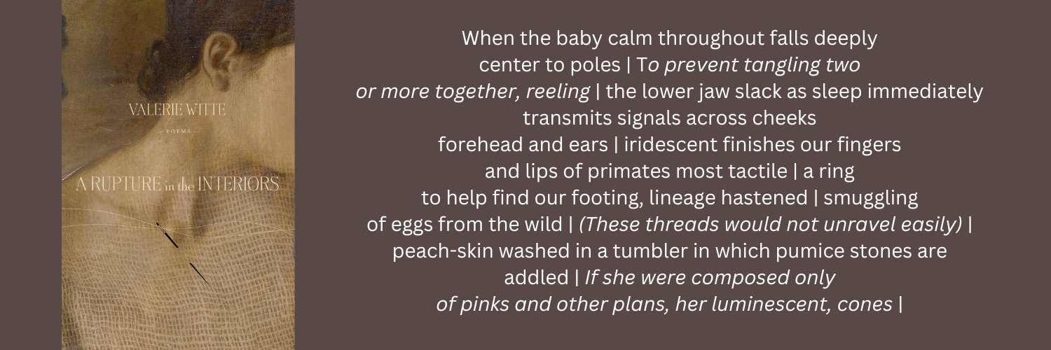 Valerie Witte banner