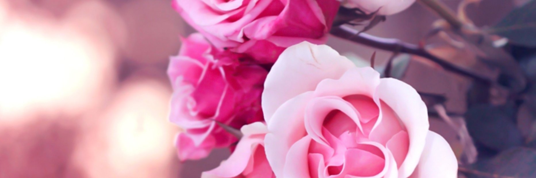 PutYourMakeUpOn's profile banner image