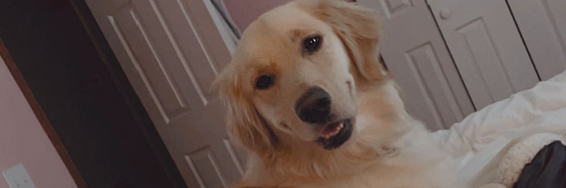 morgannraye's profile banner image