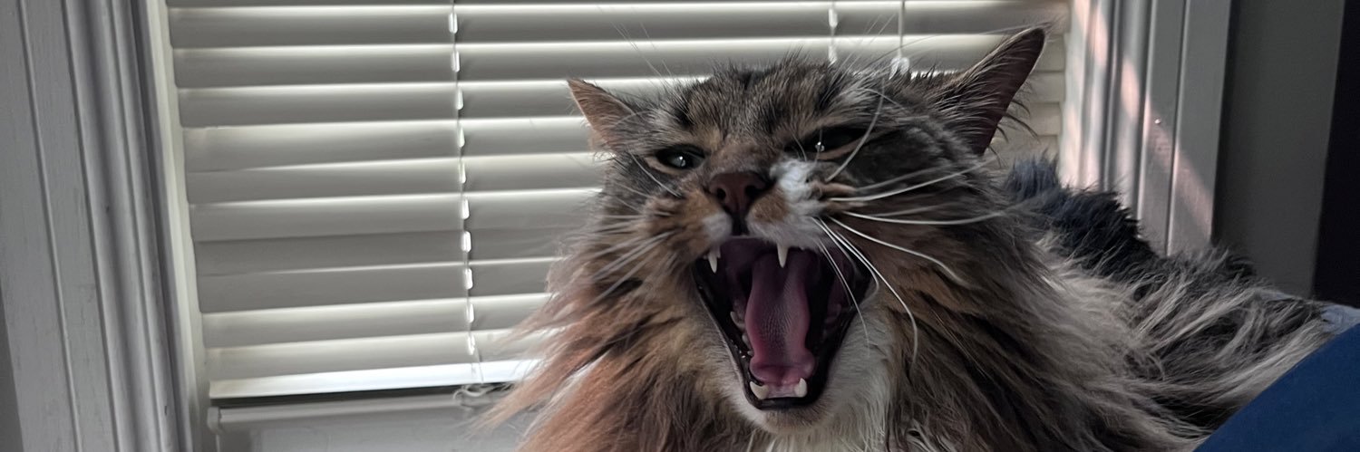 natalielemire's profile banner image