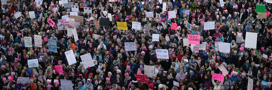 lskmerlin 🌻 banner