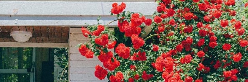 KSNSHHD's profile banner image