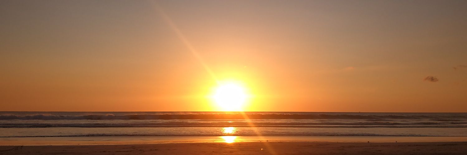 notpemulo's profile banner image