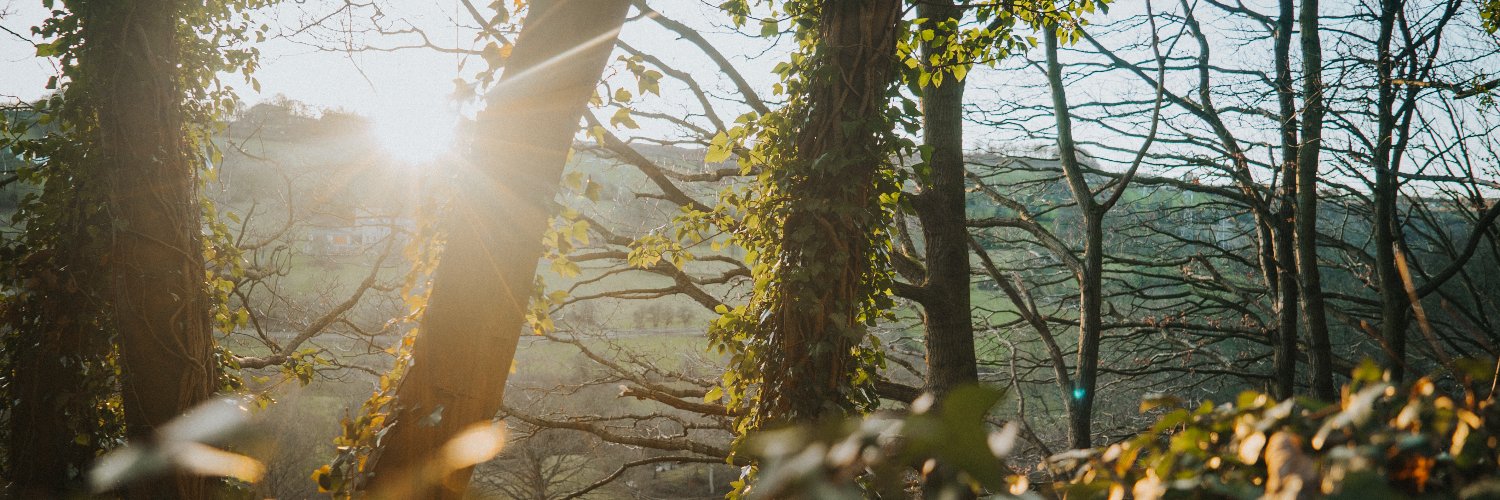 Marko Randelovic banner