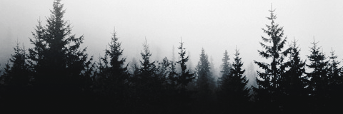 Madeline Bourgeois™ banner