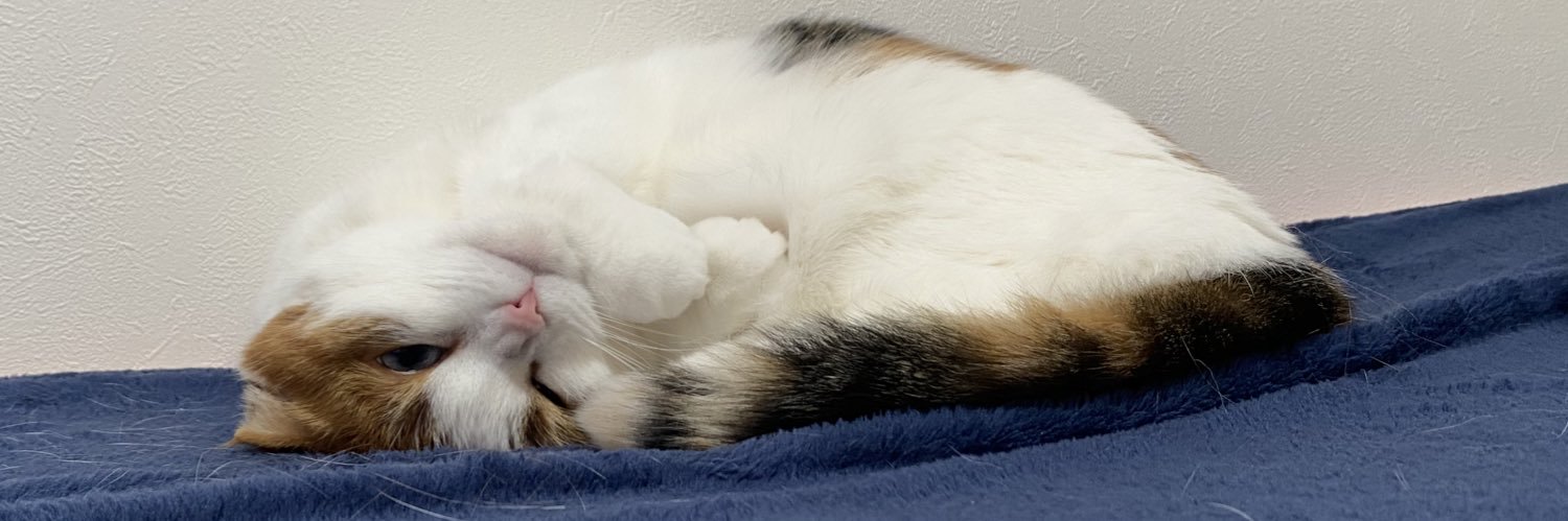 𝐣𝐚𝐩𝐚𝐧 𝐧𝐨.𝟏 𝐜𝐮𝐭𝐞 𝐜𝐚𝐭 banner