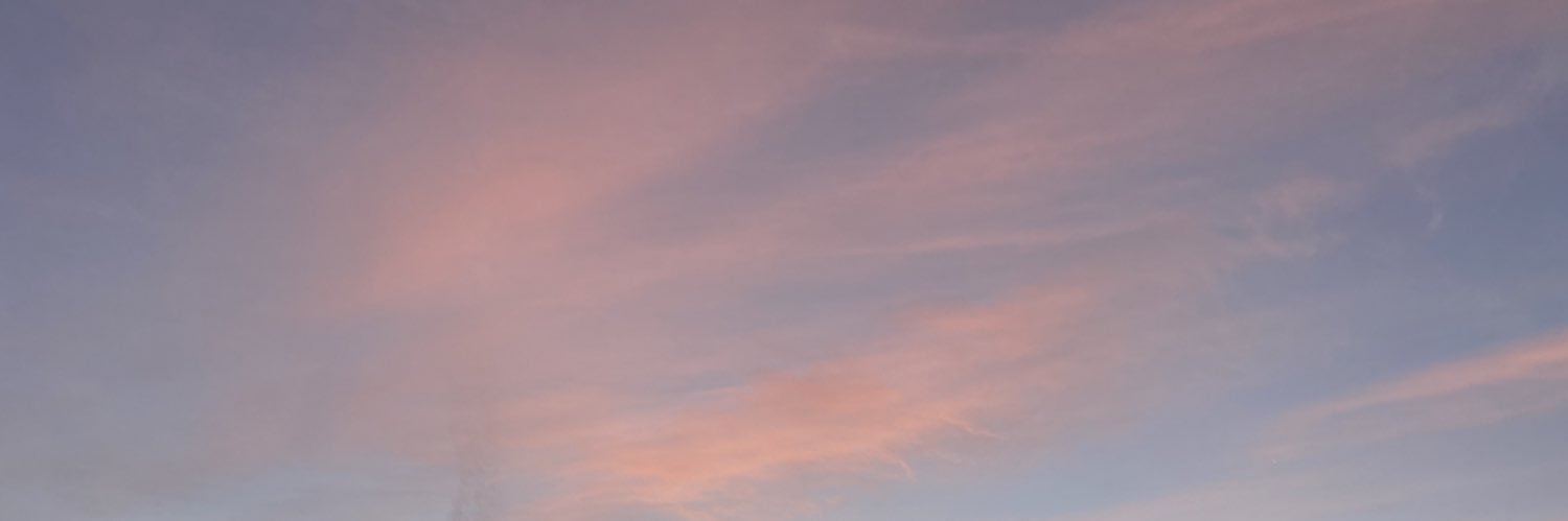 maddiesoder's profile banner image