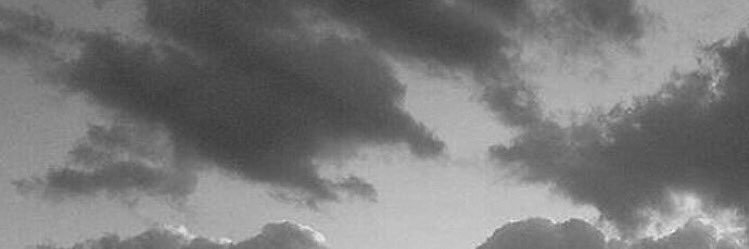 SunlliSuns's profile banner image