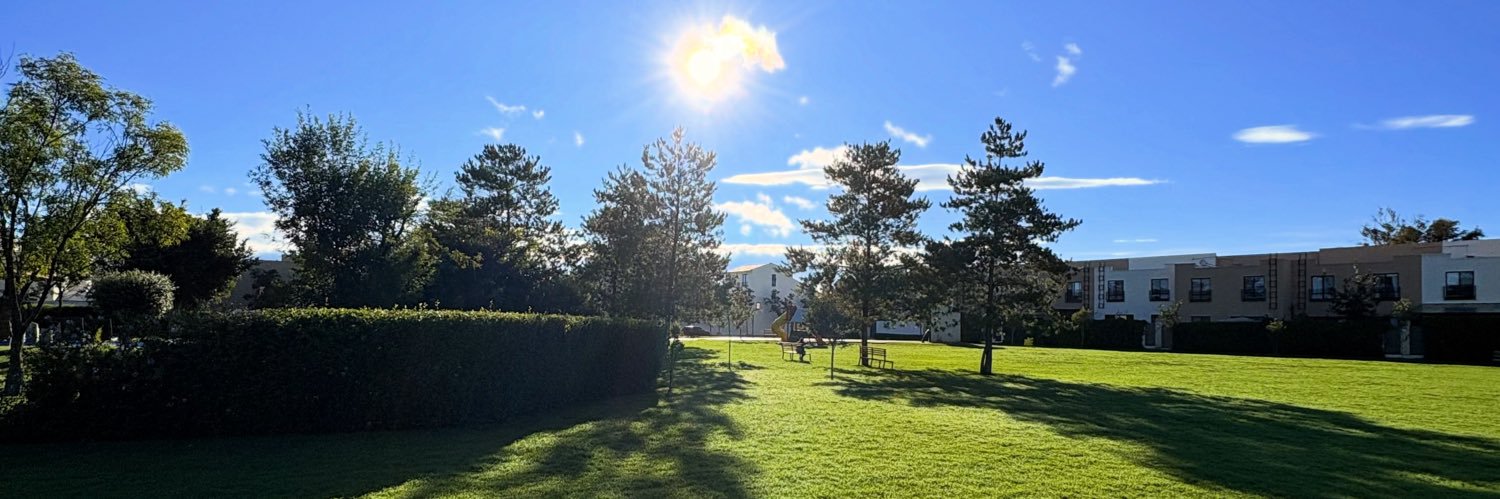 Marco Alvarez banner