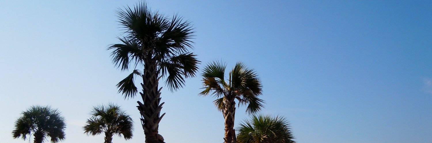 mallorymo_'s profile banner image