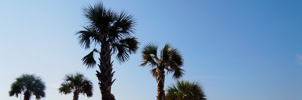 mallorymo_ Profile Banner