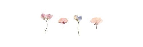 jyu_pi's profile banner image